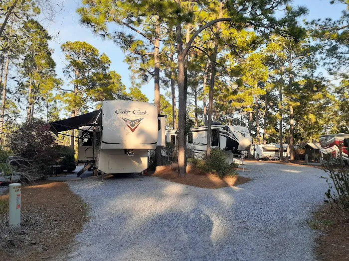 Pineglen Motorcoach & RV Park Picture 2