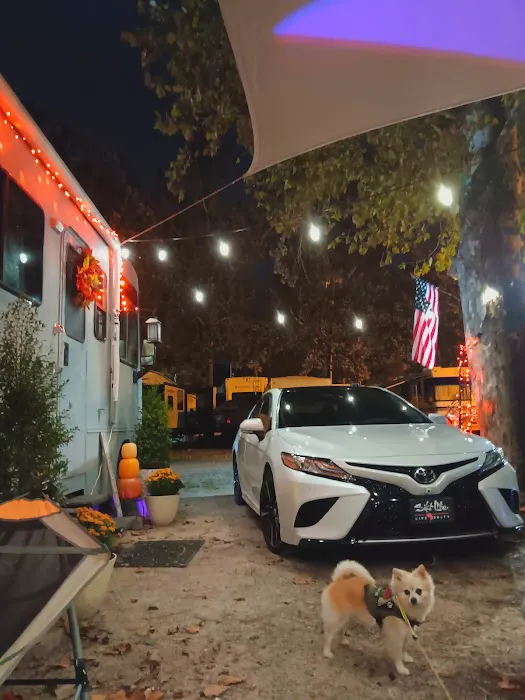 Front Beach RV Park and Motel Picture 3