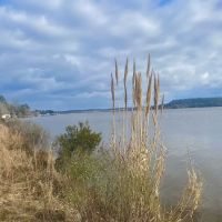 Gantt Lake RV Park and Rentals ico