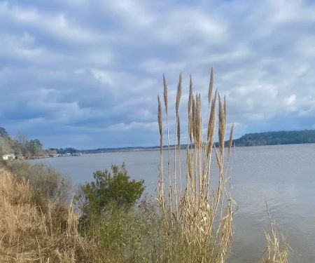 Gantt Lake RV Park and Rentals