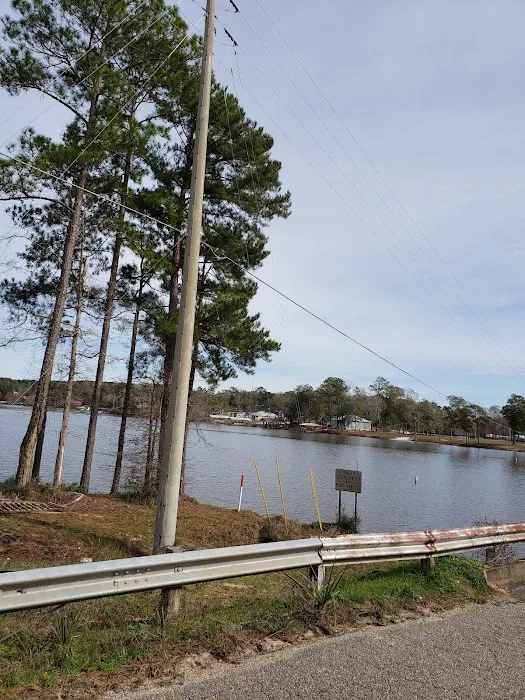Gantt Lake RV Park and Rentals Picture 3