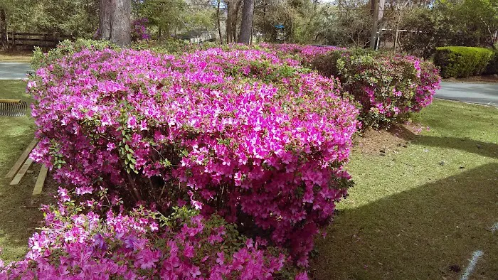 Tallahassee RV Park Picture 2