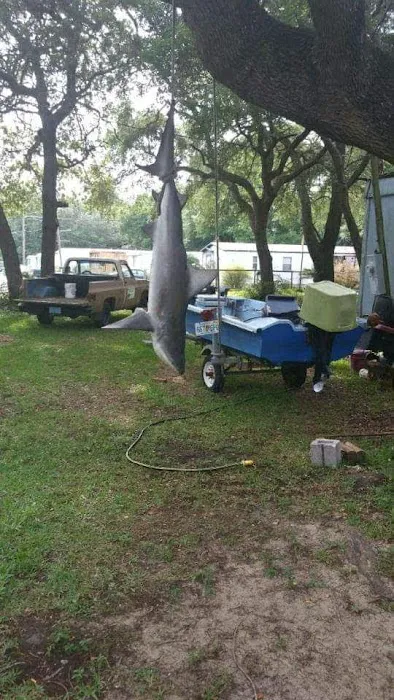 Sheree's Home Picture 1