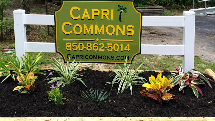 Capri Commons Mobile Home Park Picture 1