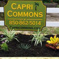 Capri Commons Mobile Home Park ico