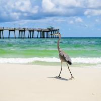 Fort Walton Beach RV Park ico