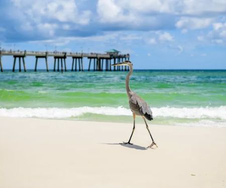 Fort Walton Beach RV Park