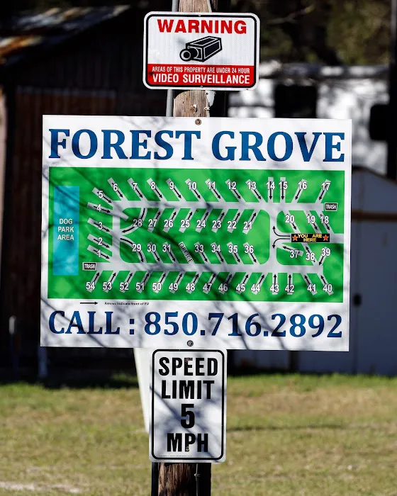 Forest Grove RV Park Picture 3
