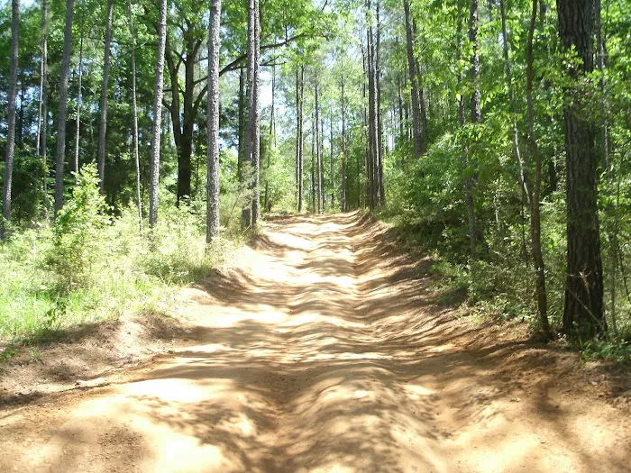 Boggs & Boulders LLC Picture 1