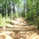 Boggs & Boulders LLC