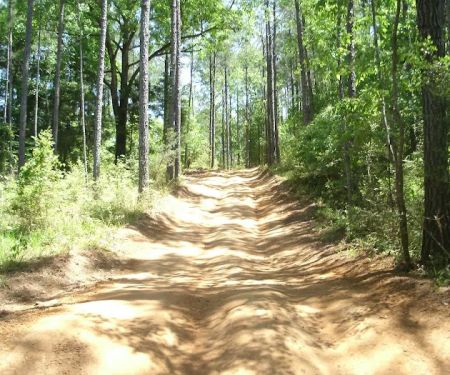 Boggs & Boulders LLC