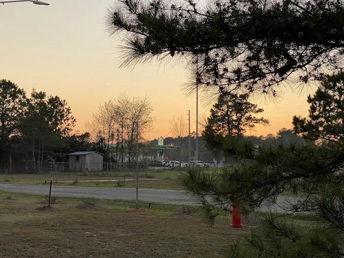 A Stone's Throw RV Park Picture 5