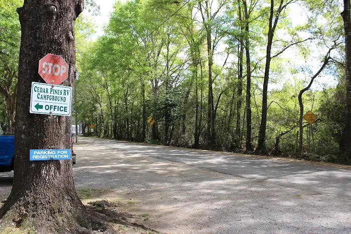 Wandering Oaks RV Park Picture 3