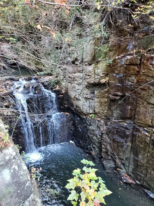 Pine Village Mobile Home Park Picture 3