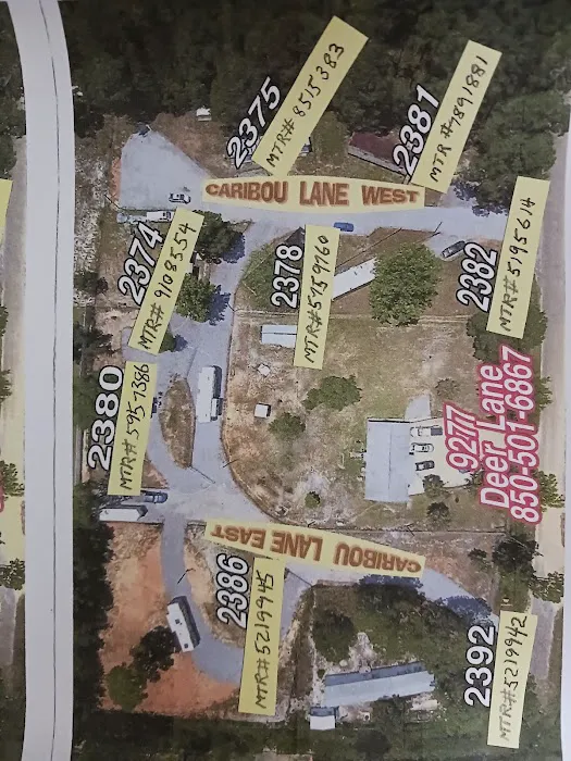Deer Trail Estates RV/Mobilehome Park Picture 7