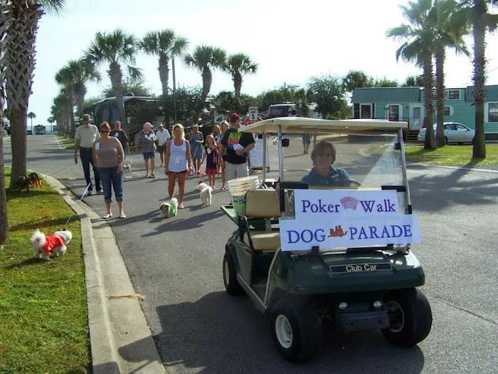 Emerald Beach RV Park Picture 8