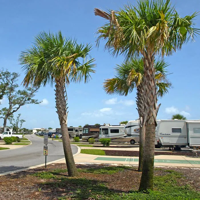 Santa Rosa RV Resort Picture 6