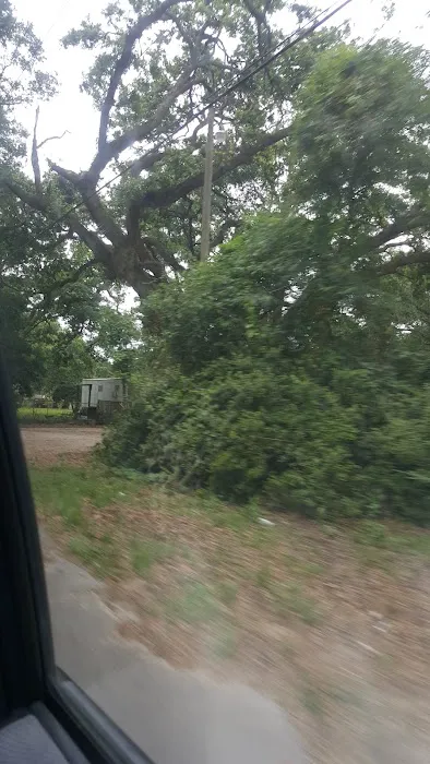 Sorensen Mobile Homes Picture 4