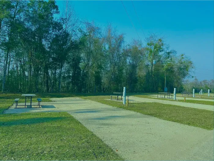 Swamp House RV Park & Marina Picture 6