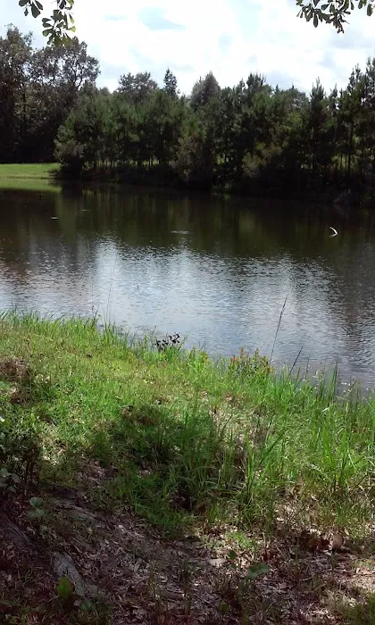 Owassa Lakeside RV Picture 5