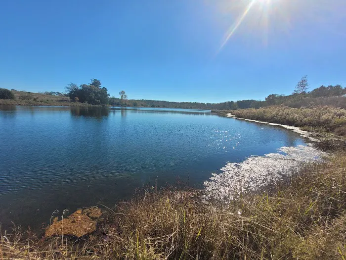 Walnut Creek RV Park Picture 6