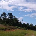 Walnut Creek RV Park