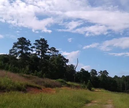 Walnut Creek RV Park