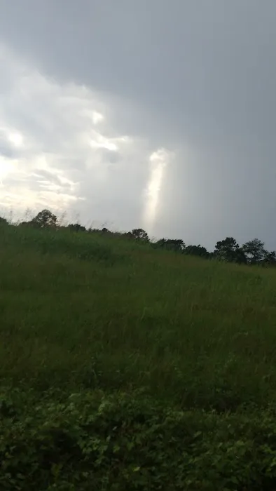 Suntrace Mobile Home Park Picture 1