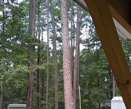 Brantley Mobile Home Park