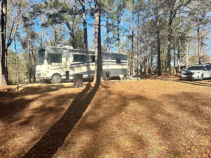 Clearwater RV & Mobile Home Park Picture 4