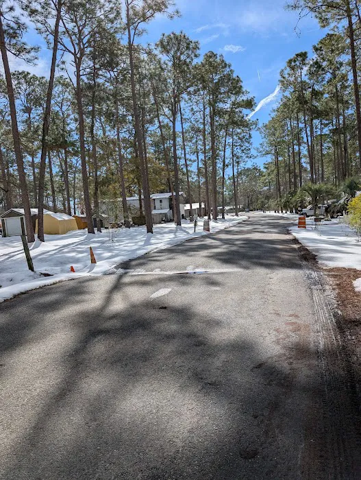 Sugar Mill RV Park Picture 1