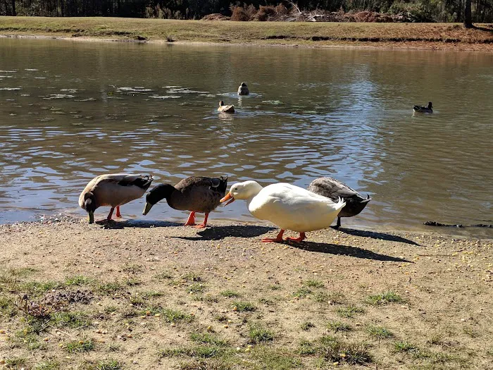 Sugar Mill RV Park Picture 5