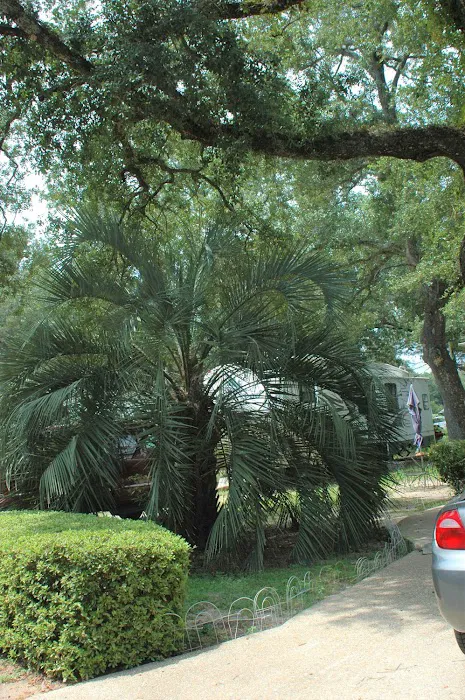 Tanglewood Gardens RV Park Picture 2