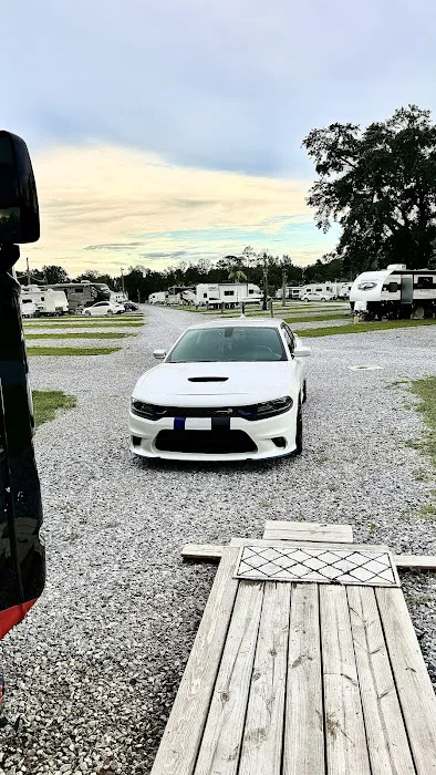Palm Cove RV Village Picture 8