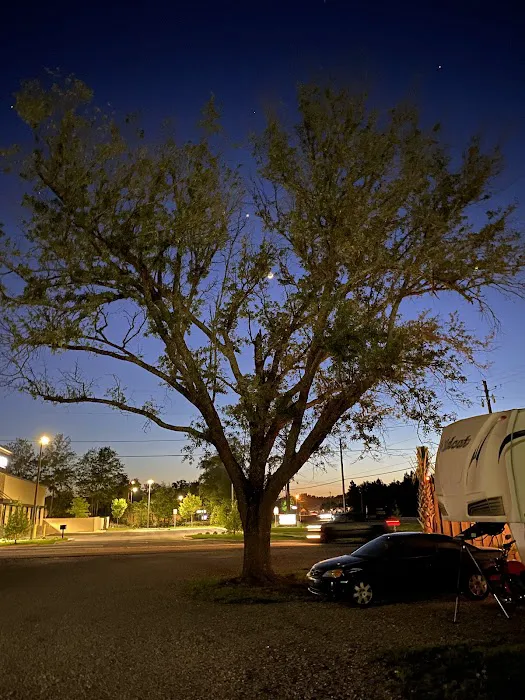 Palm Cove RV Village Picture 7