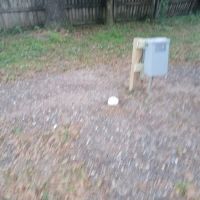 99 Oaks ico