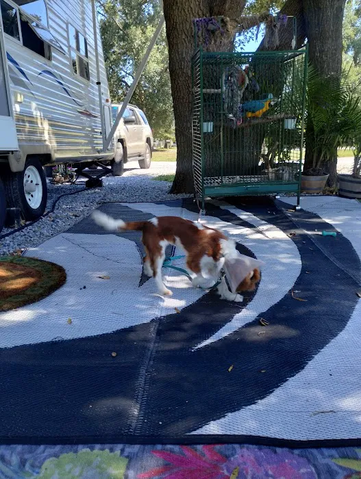 TALL OAKS RV PARK Picture 6