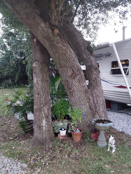 TALL OAKS RV PARK Picture 8