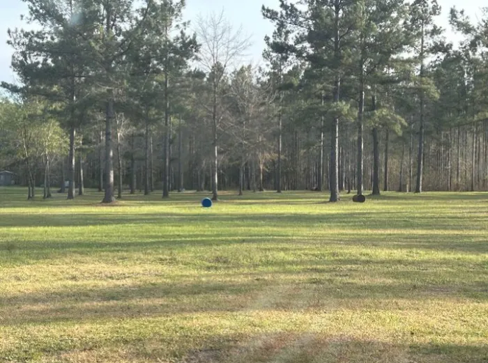 Stock Law Gap Campground Picture 2