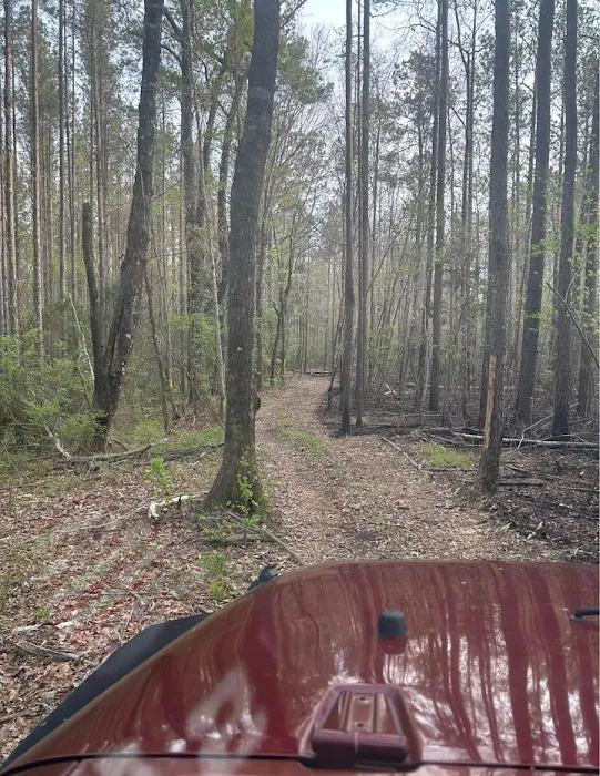 Stock Law Gap Campground Picture 10