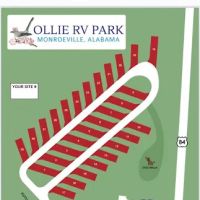 OLLIE RV PARK ico