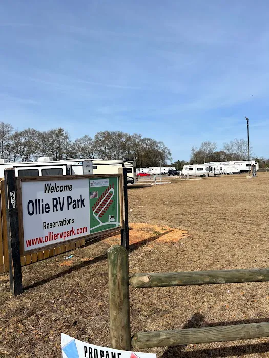 OLLIE RV PARK Picture 8