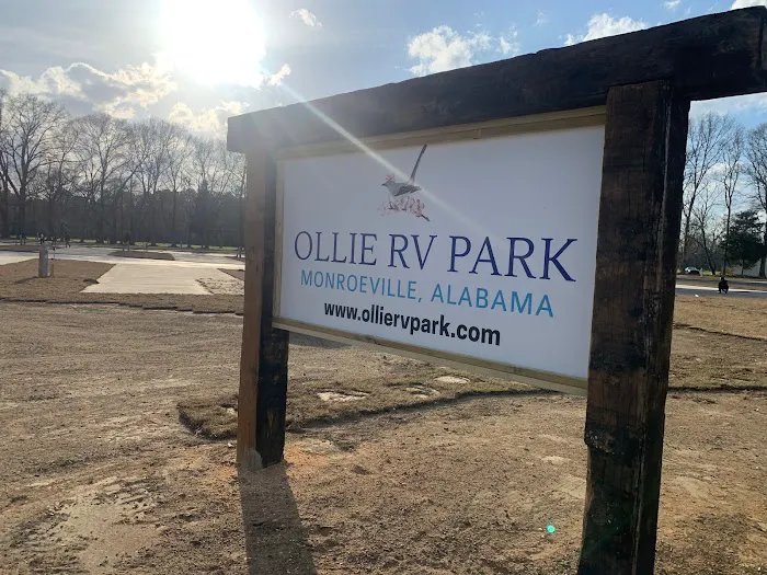 OLLIE RV PARK Picture 4