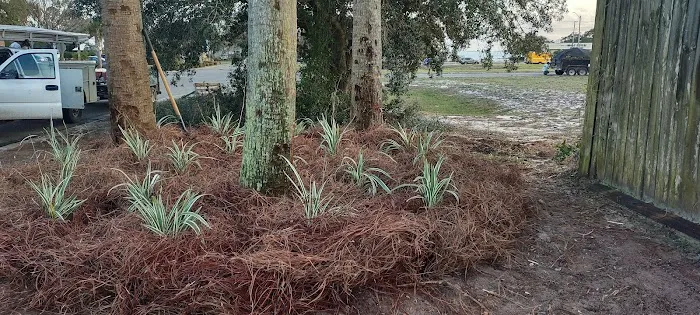 anderson trailer park Picture 2