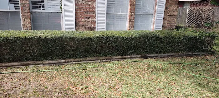 anderson trailer park Picture 4