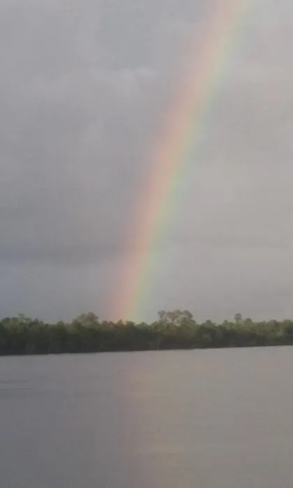 anderson trailer park Picture 6