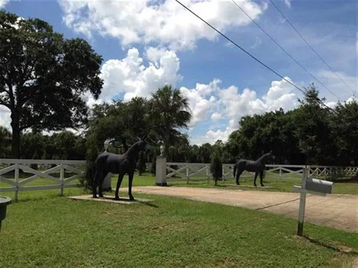 Five Flags Ranch at Pony Land and RV Motorhome Parking Spaces Picture 6
