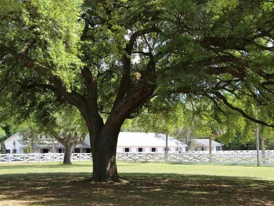 Five Flags Ranch at Pony Land and RV Motorhome Parking Spaces Picture 5