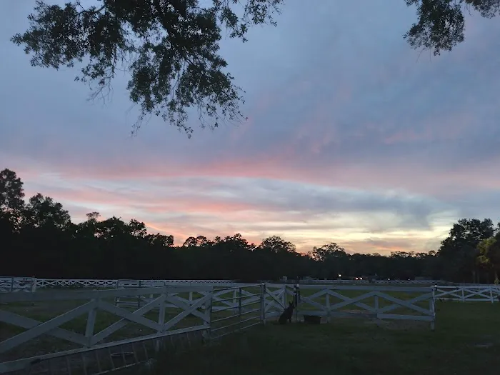 Five Flags Ranch at Pony Land and RV Motorhome Parking Spaces Picture 7