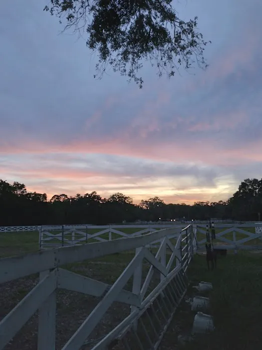 Five Flags Ranch at Pony Land and RV Motorhome Parking Spaces Picture 10